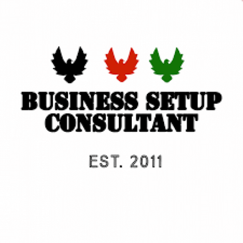 Why do you need a business setup consultant in Dubai?