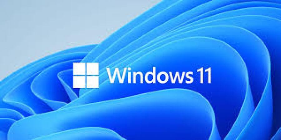 How do you check Windows 11 error logs?