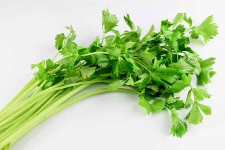 You should think about the benefits of the Celery Leaves for Men