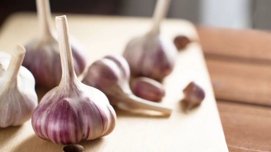 Best Garlic Health Benefits