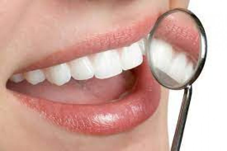 Dental Plans And Teeth Care