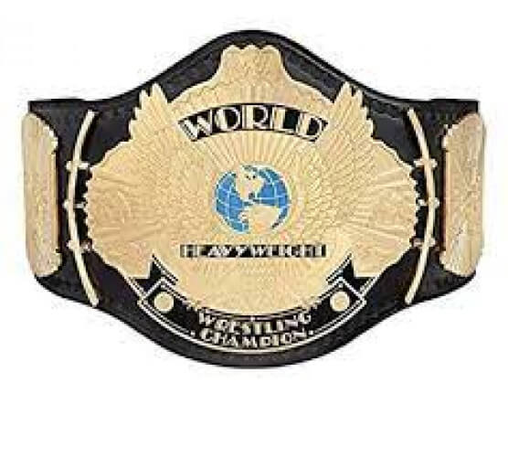 Know The Different Traits of WWF Championship