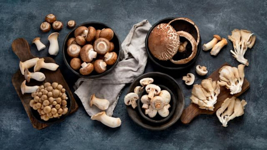 Exploring the Surprising Health Benefits of Mushrooms