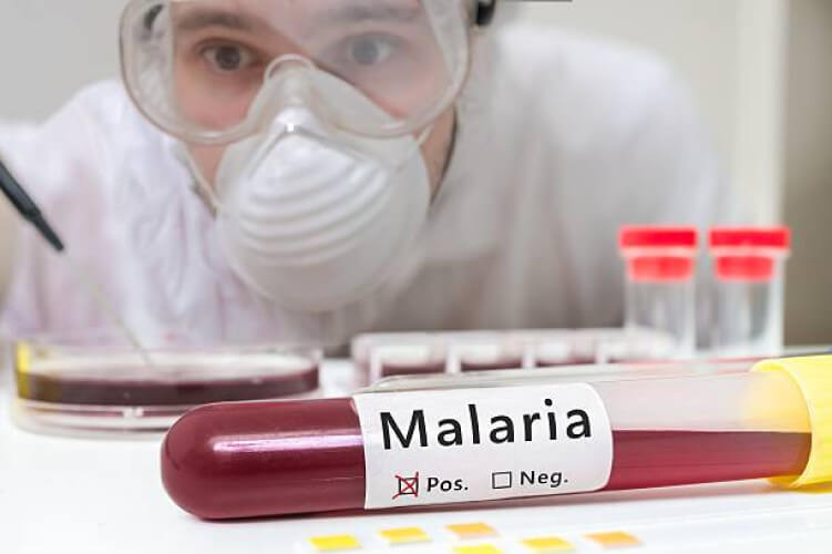 What is the pharmaceutical treatment for malaria in India?